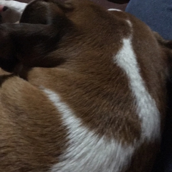 Meet your Posher, Laura - Picture 1 of 1